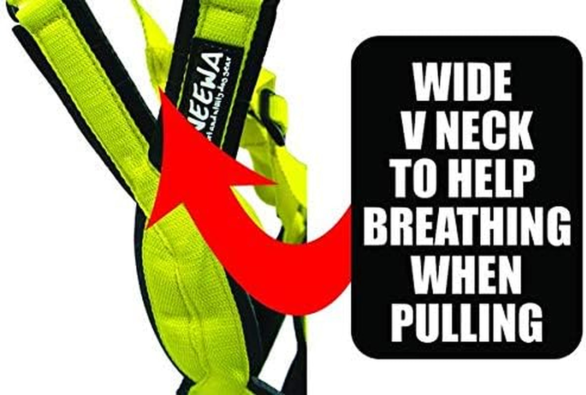 Adjustable Small Red Pro Harness for Sled Dog Joring