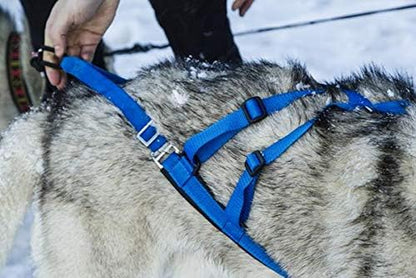 Adjustable Small Red Pro Harness for Sled Dog Joring