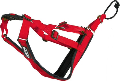 Adjustable Small Red Pro Harness for Sled Dog Joring