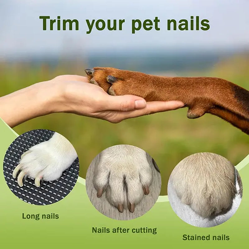 Transform Your Pet's Grooming Routine with the Petlovers 2-In-1 Rechargeable Nail Clipper and Grinder - Ultra Quiet Electric Trimmer for Dogs and Cats!
